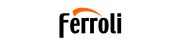 Ferroli Boiler Spares